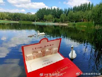 解“三五連同三六看”是指什么動物生肖